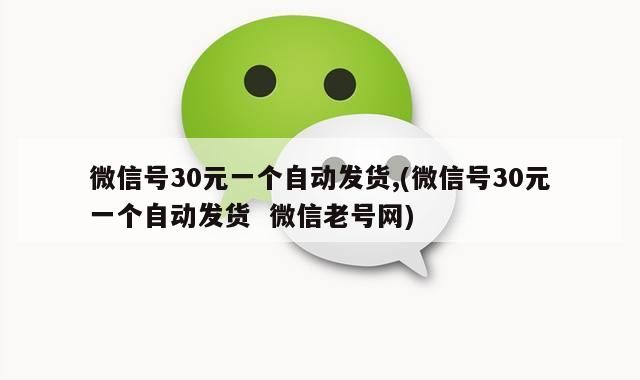 微信号30元一个自动发货,(微信号30元一个自动发货  微信老号网)