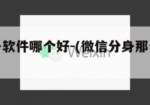 微信分身软件哪个好-(微信分身那个软件好)